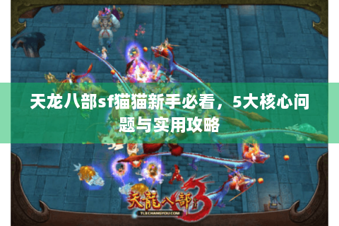 天龙八部sf猫猫新手必看，5大核心问题与实用攻略
