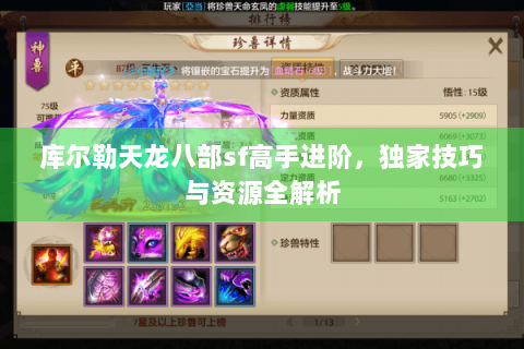 库尔勒天龙八部sf高手进阶，独家技巧与资源全解析