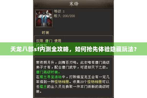 天龙八部sf内测全攻略，如何抢先体验隐藏玩法？