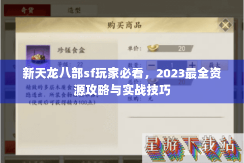 新天龙八部sf玩家必看，2023最全资源攻略与实战技巧