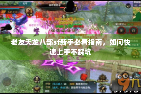 老友天龙八部sf新手必看指南，如何快速上手不踩坑