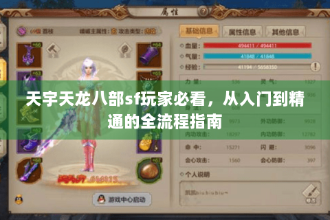 天宇天龙八部sf玩家必看，从入门到精通的全流程指南