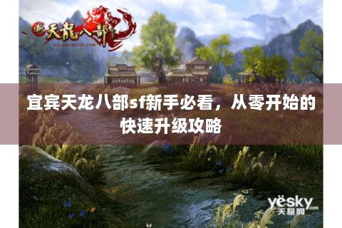 宜宾天龙八部sf新手必看，从零开始的快速升级攻略