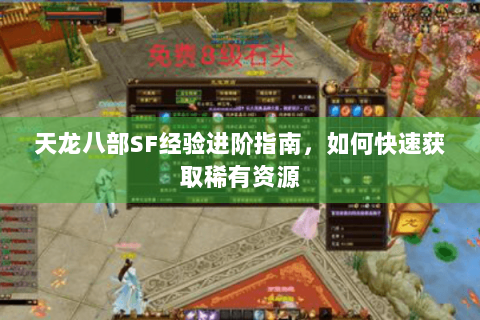 天龙八部SF经验进阶指南，如何快速获取稀有资源
