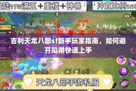 吉利天龙八部sf新手玩家指南，如何避开陷阱快速上手