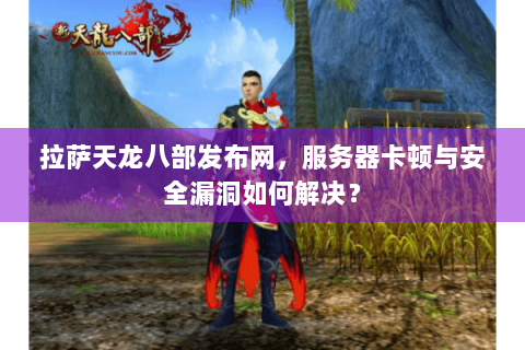 拉萨天龙八部发布网，服务器卡顿与安全漏洞如何解决？