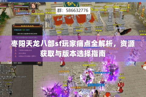 枣阳天龙八部sf玩家痛点全解析，资源获取与版本选择指南