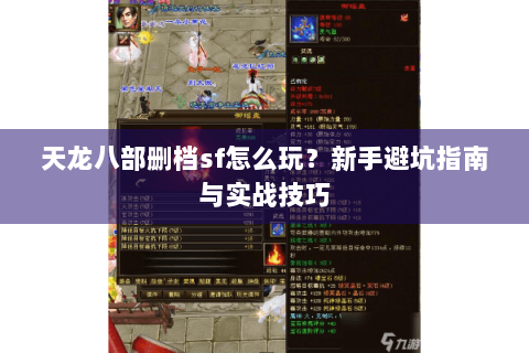 天龙八部删档sf怎么玩？新手避坑指南与实战技巧