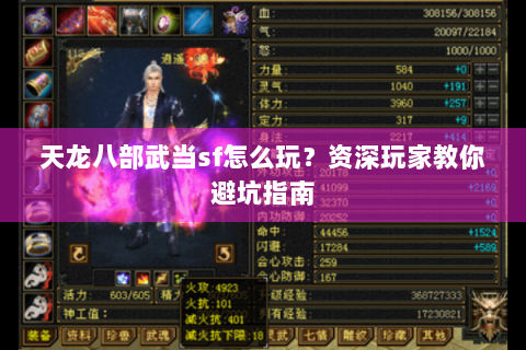 天龙八部武当sf怎么玩？资深玩家教你避坑指南