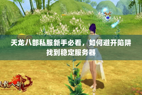 天龙八部私服新手必看，如何避开陷阱找到稳定服务器