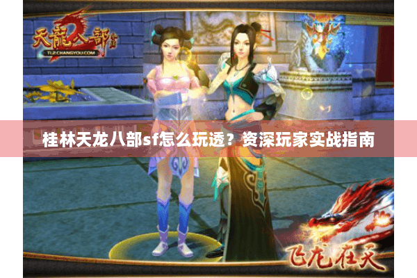 桂林天龙八部sf怎么玩透？资深玩家实战指南