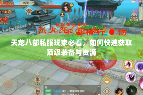 天龙八部私服玩家必看，如何快速获取顶级装备与资源