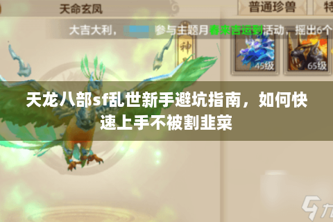 天龙八部sf乱世新手避坑指南，如何快速上手不被割韭菜