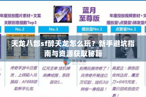 天龙八部sf醉天龙怎么玩？新手避坑指南与资源获取秘籍