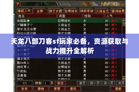 天龙八部刀客sf玩家必备，资源获取与战力提升全解析