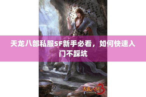天龙八部私服SF新手必看，如何快速入门不踩坑
