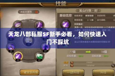 天龙八部私服SF新手必看，如何快速入门不踩坑