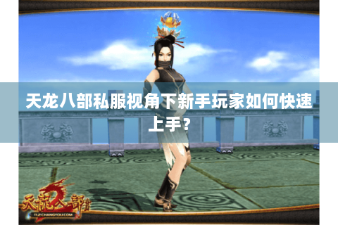 天龙八部私服视角下新手玩家如何快速上手？