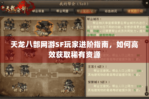 天龙八部网游SF玩家进阶指南，如何高效获取稀有资源