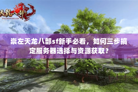崇左天龙八部sf新手必看，如何三步搞定服务器选择与资源获取？