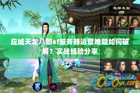 应城天龙八部sf服务器运营难题如何破解？实战经验分享