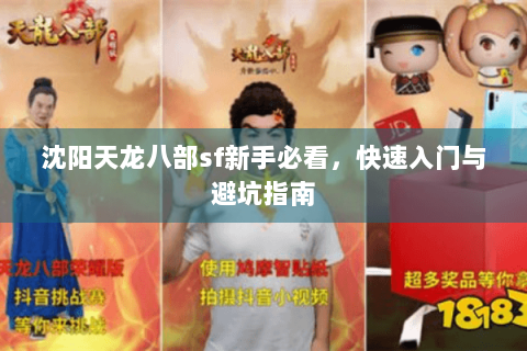 沈阳天龙八部sf新手必看，快速入门与避坑指南