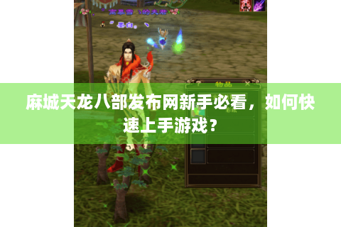 麻城天龙八部发布网新手必看，如何快速上手游戏？