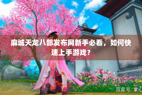 麻城天龙八部发布网新手必看，如何快速上手游戏？