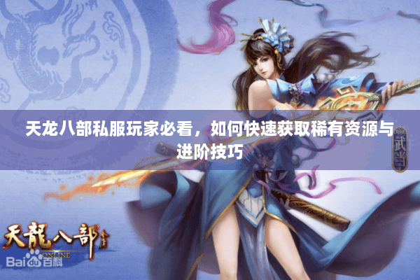 天龙八部私服玩家必看，如何快速获取稀有资源与进阶技巧