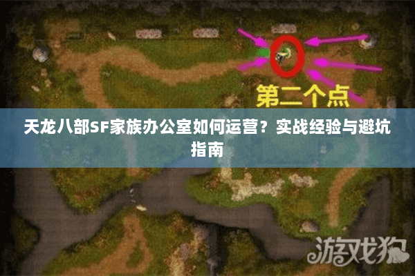 天龙八部SF家族办公室如何运营？实战经验与避坑指南