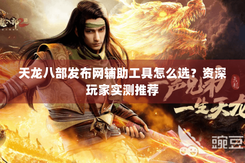 天龙八部发布网辅助工具怎么选？资深玩家实测推荐