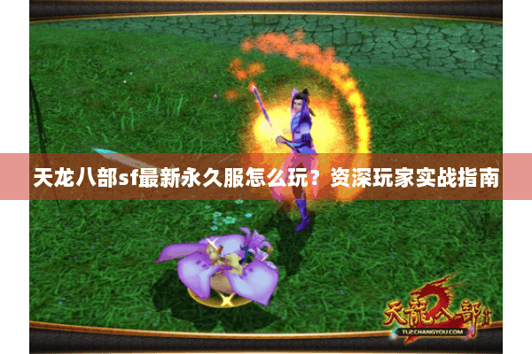 天龙八部sf最新永久服怎么玩？资深玩家实战指南