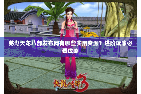 芜湖天龙八部发布网有哪些实用资源？进阶玩家必看攻略