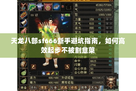 天龙八部sf666新手避坑指南，如何高效起步不被割韭菜