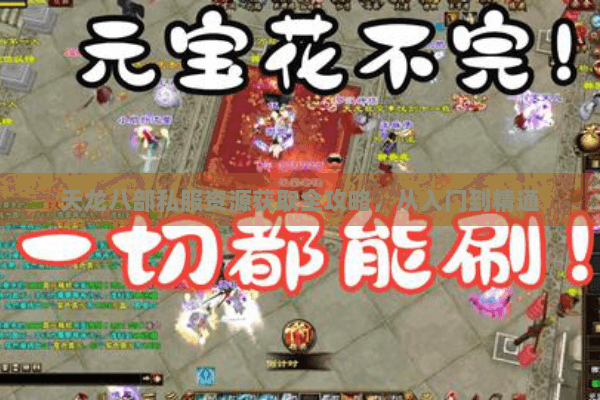 天龙八部私服资源获取全攻略，从入门到精通