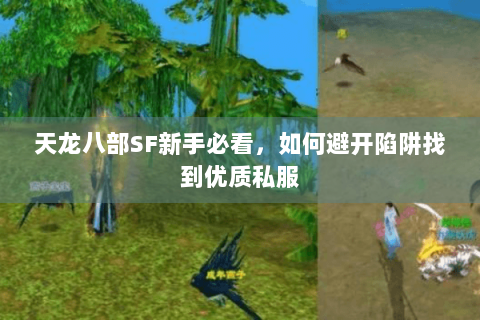 天龙八部SF新手必看，如何避开陷阱找到优质私服
