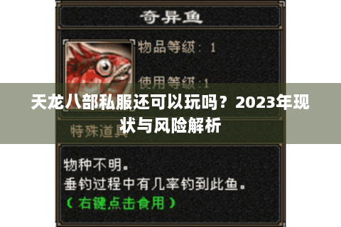 天龙八部私服还可以玩吗？2023年现状与风险解析