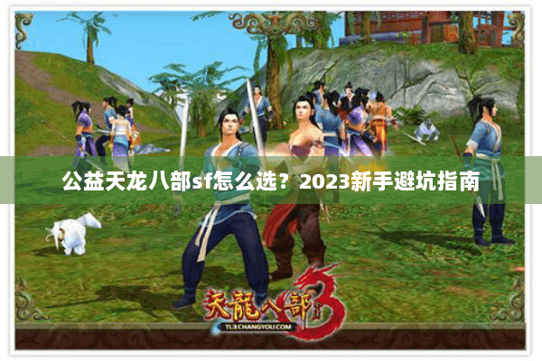 公益天龙八部sf怎么选？2023新手避坑指南