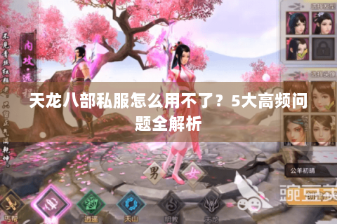 天龙八部私服怎么用不了？5大高频问题全解析