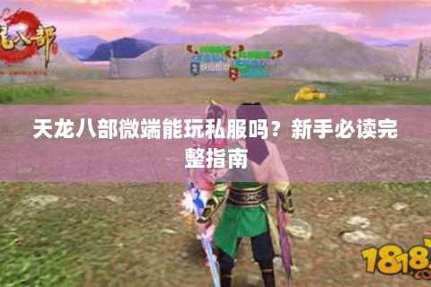 天龙八部微端能玩私服吗？新手必读完整指南