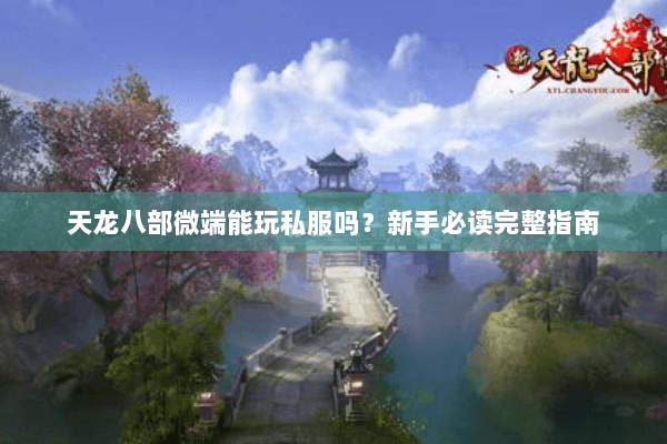 天龙八部微端能玩私服吗？新手必读完整指南