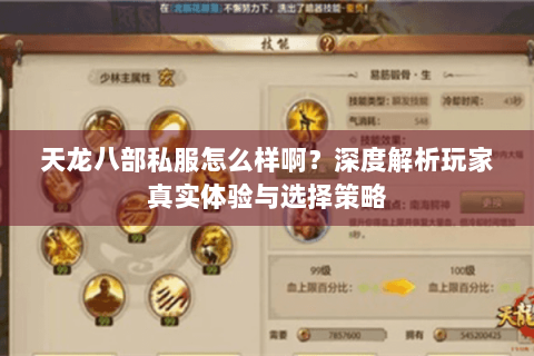 天龙八部私服怎么样啊？深度解析玩家真实体验与选择策略