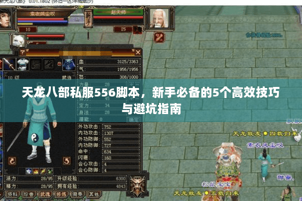 天龙八部私服556脚本，新手必备的5个高效技巧与避坑指南