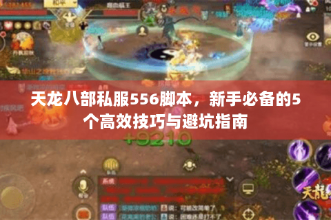 天龙八部私服556脚本，新手必备的5个高效技巧与避坑指南