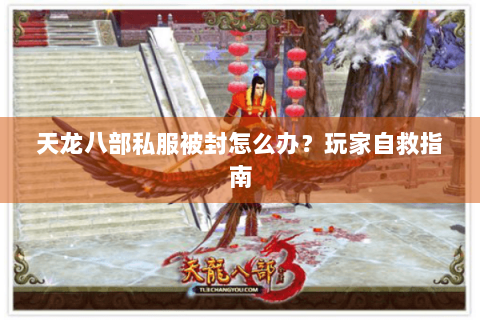天龙八部私服被封怎么办？玩家自救指南
