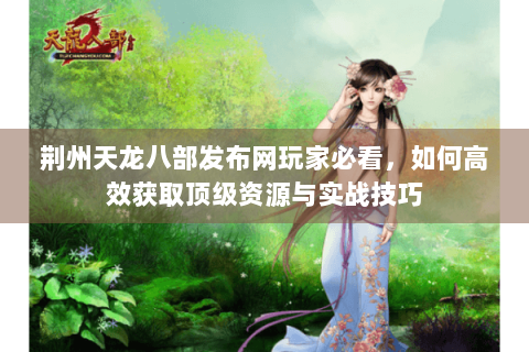 荆州天龙八部发布网玩家必看，如何高效获取顶级资源与实战技巧