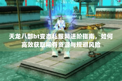 天龙八部bt变态私服网进阶指南，如何高效获取稀有资源与规避风险