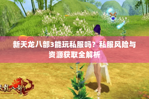 新天龙八部3能玩私服吗？私服风险与资源获取全解析