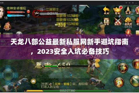 天龙八部公益最新私服网新手避坑指南，2023安全入坑必备技巧