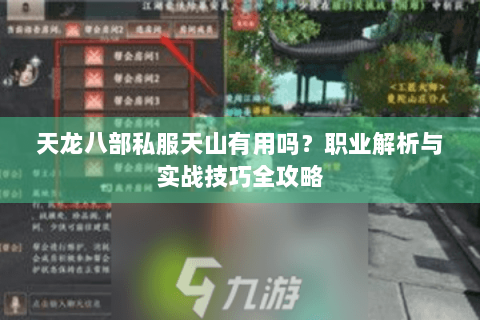 天龙八部私服天山有用吗？职业解析与实战技巧全攻略